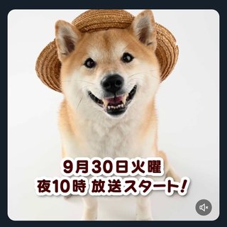 NHK ドラマ10「シバのおきて～われら犬バカ編集部～」＜総合＞火曜　夜10:00