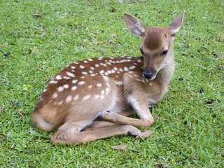自己中な人に好かれないようにするには？