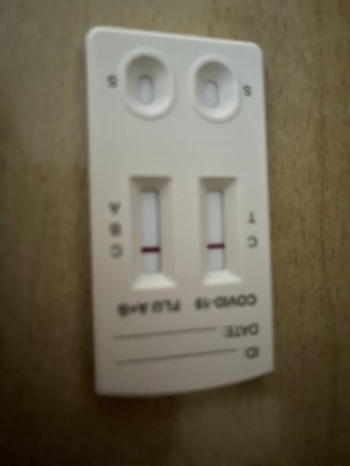 【ちらし裏】聞いてほしいの【ここに書け】