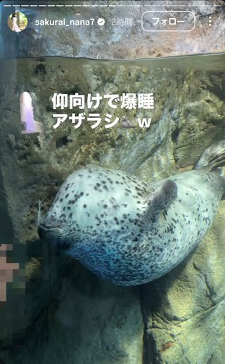 桜井奈々さんって