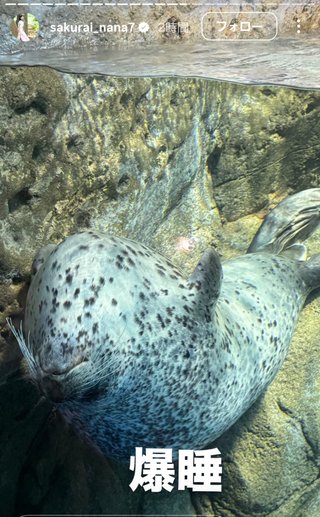 桜井奈々さんって