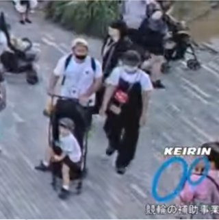 豆腐と節男と時々ズミ