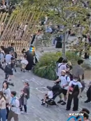 豆腐と節男と時々ズミ