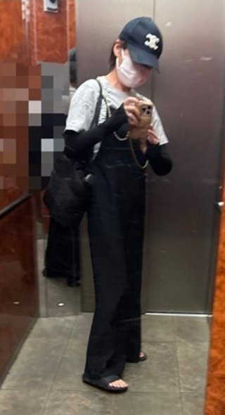 豆腐と節男と時々ズミ