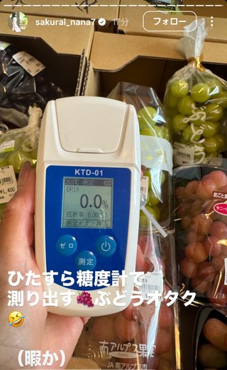 桜井奈々さんって