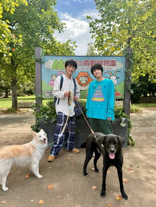 『DOCTOR PRICE』日本テレビ系