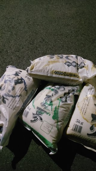 交差点でお米20キロ拾ったよ！！