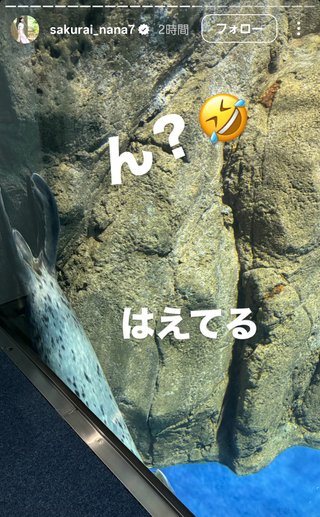 桜井奈々さんって