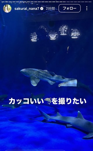 桜井奈々さんって