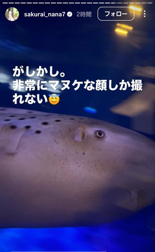 桜井奈々さんって