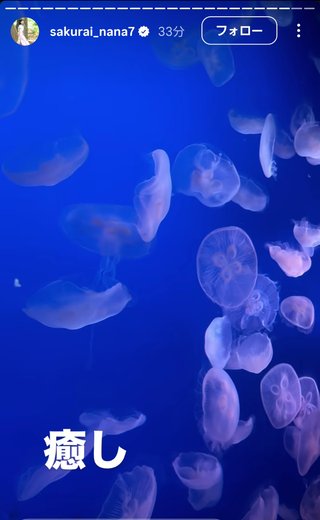 桜井奈々さんって