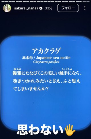 桜井奈々さんって