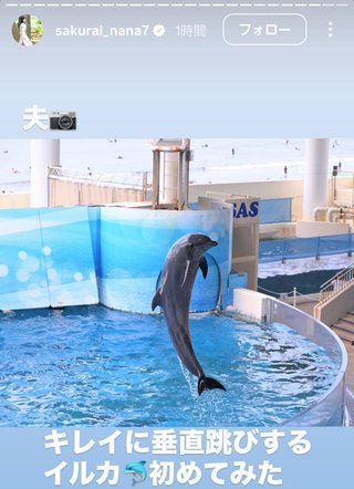 桜井奈々さんって