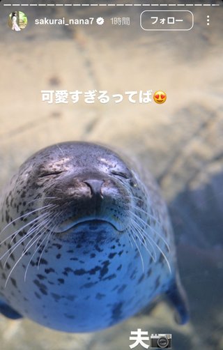 桜井奈々さんって