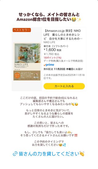 お洒落生活系YouTuberアンチ