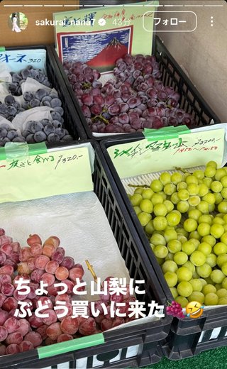 桜井奈々さんって