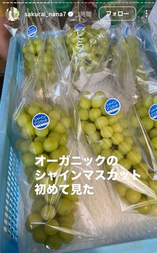 桜井奈々さんって