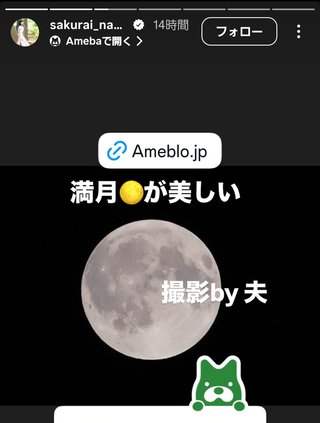 桜井奈々さんって