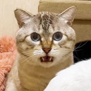 バスタオルを洗う頻度はどのくらい？