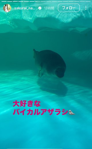 桜井奈々さんって