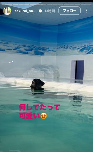 桜井奈々さんって