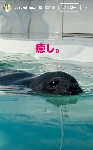 桜井奈々さんって