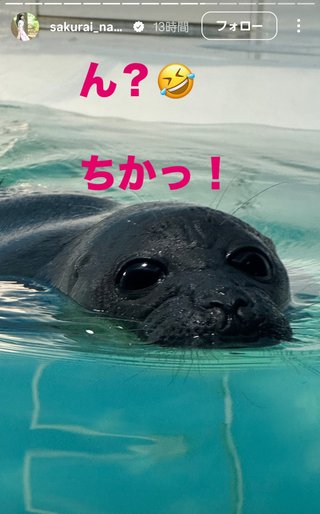 桜井奈々さんって