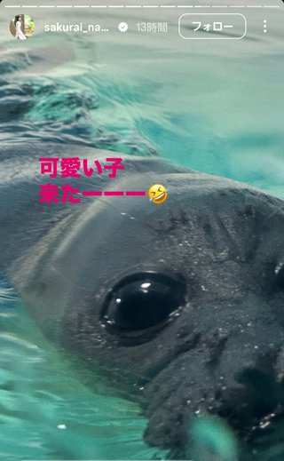 桜井奈々さんって