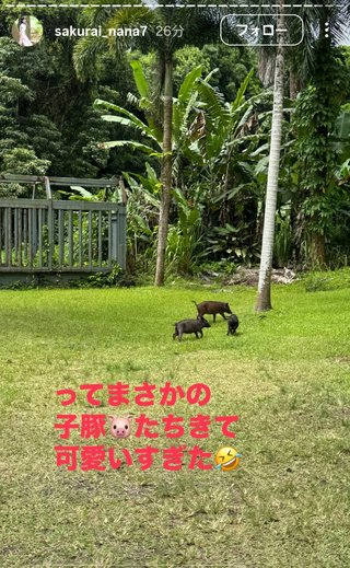 桜井奈々さんって