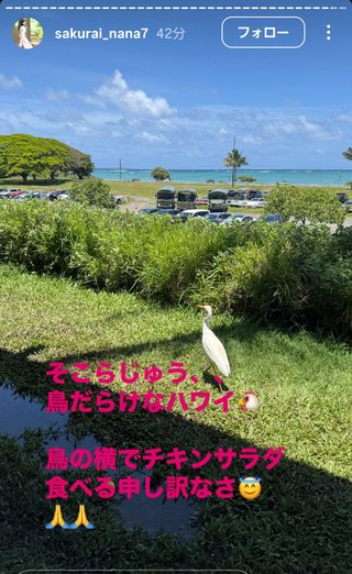 桜井奈々さんって