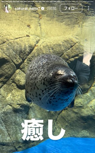 桜井奈々さんって