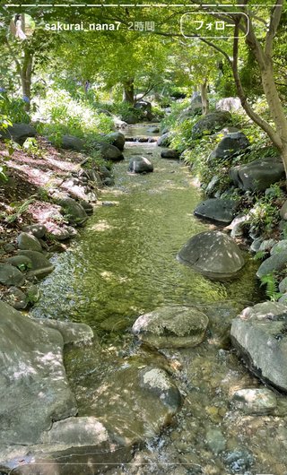 桜井奈々さんって