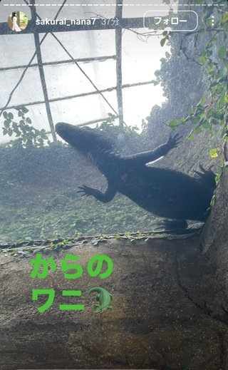 桜井奈々さんって