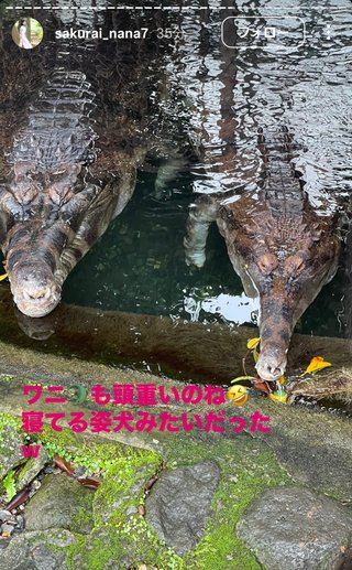 桜井奈々さんって