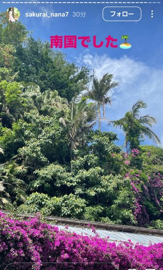 桜井奈々さんって