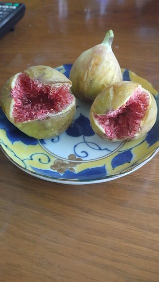 今日のおやつは何ですか？・総合