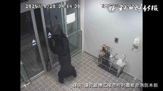 クマ､秋田県の庁舎に自動ドアから入り出ていく【動画あり】
