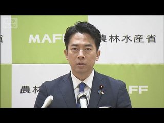 【高市内閣】小泉進次郎氏を防衛大臣で起用へ
