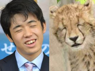 洗濯機ピーピー鳴ったけどまだ動いてない人