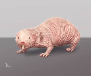 フジテレビ【ぽかぽか】月-金午前11時45分から