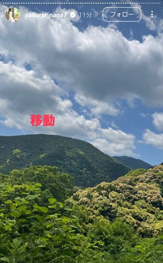 桜井奈々さんって