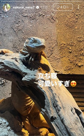 桜井奈々さんって