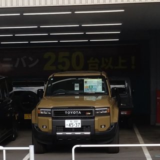 しまむら系 インフルエンサー