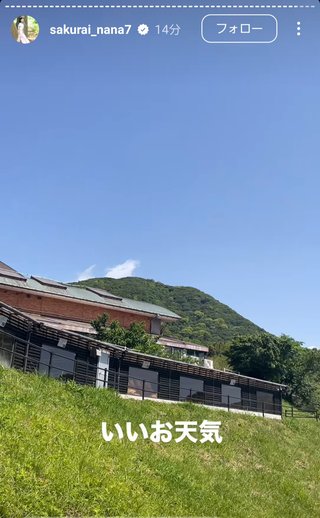 桜井奈々さんって