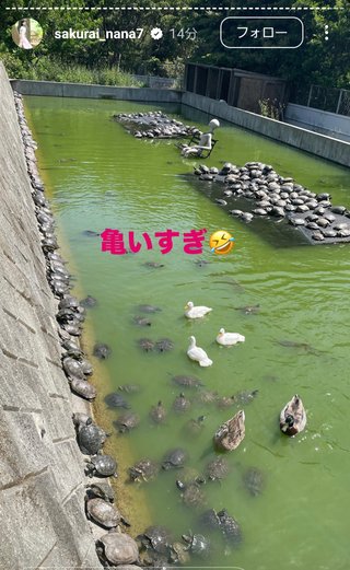 桜井奈々さんって