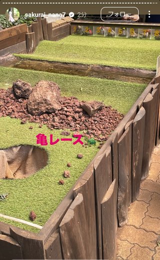 桜井奈々さんって