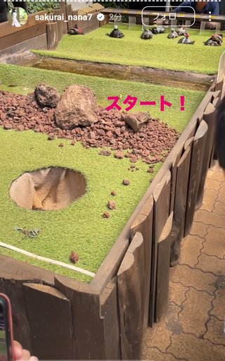 桜井奈々さんって