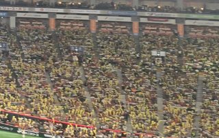 学校より風船飛ばしが大好きな娘