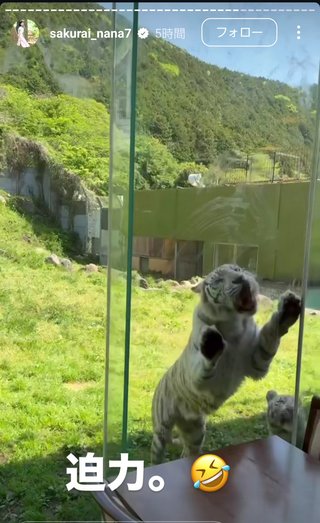 桜井奈々さんって