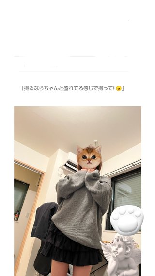 与儀だいすけ、ヨギボーのファンの集い